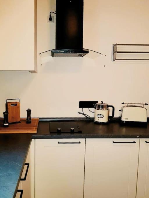 Komfortables Apartment Im Zentrum Erfurts 外观 照片