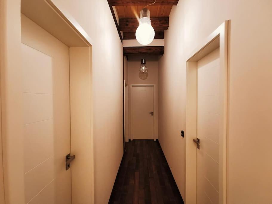 Komfortables Apartment Im Zentrum Erfurts 外观 照片
