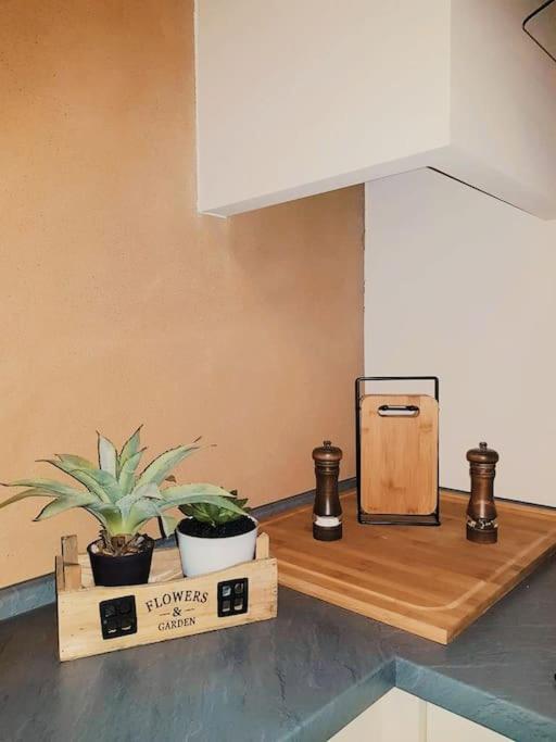 Komfortables Apartment Im Zentrum Erfurts 外观 照片