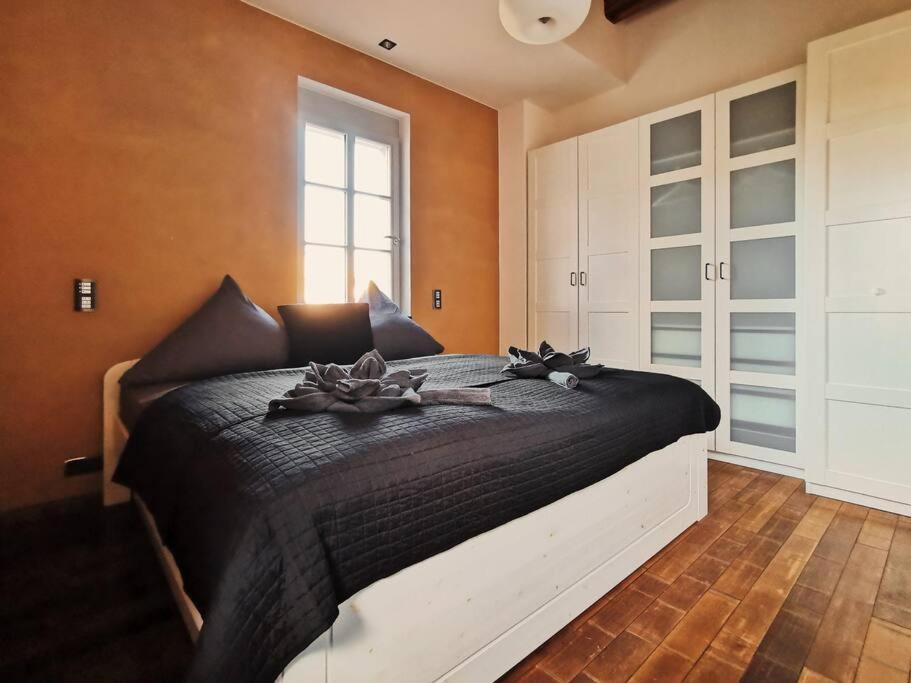 Komfortables Apartment Im Zentrum Erfurts 外观 照片