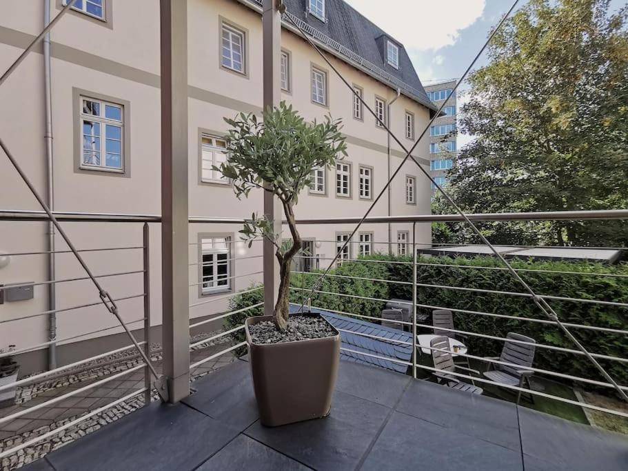 Komfortables Apartment Im Zentrum Erfurts 外观 照片