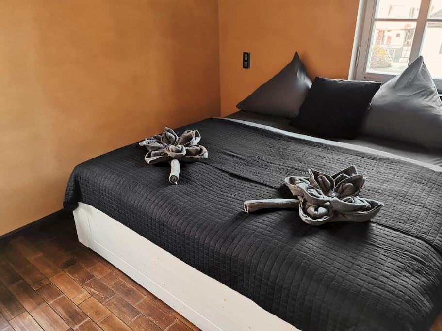 Komfortables Apartment Im Zentrum Erfurts 外观 照片