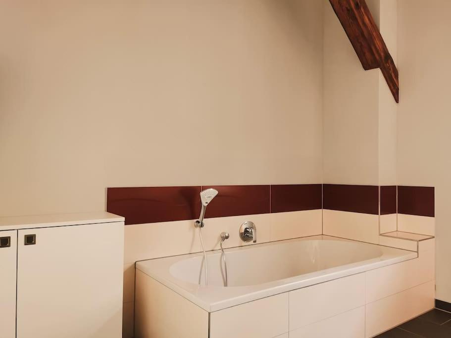 Komfortables Apartment Im Zentrum Erfurts 外观 照片